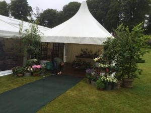 Soukoun Services Limited Pagodas  